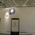 IMG_8013.jpg