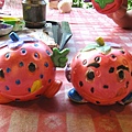 IMG_8245.jpg