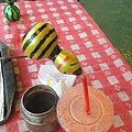 IMG_8249.jpg