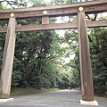 IMG_8847.jpg