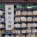 IMG_8868.jpg
