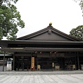IMG_8872.jpg