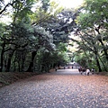 IMG_8886.jpg
