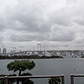 IMG_8913.jpg