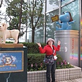 IMG_8922.jpg