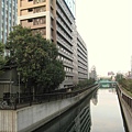IMG_8298.jpg