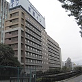 IMG_8984.jpg