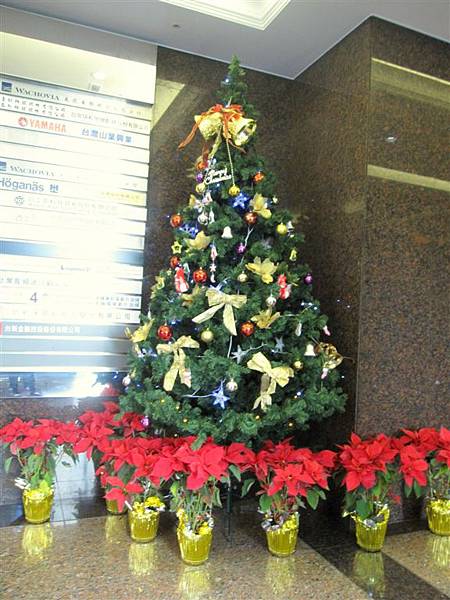 公司1樓的聖誕樹 