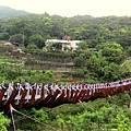 TXG 005.jpg