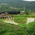 TXG 038.jpg