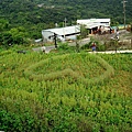 TXG 040.jpg