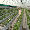 TXG 050.jpg