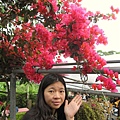 TXG 059.jpg