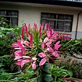 TXG 096.jpg