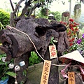 TXG 099.jpg