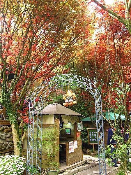 台北奧萬大 075.jpg