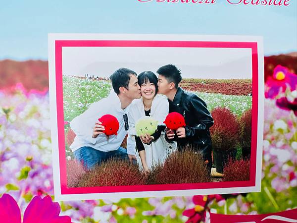 掃帚草我來囉~~~