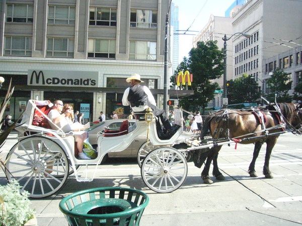 酷喔 馬車 