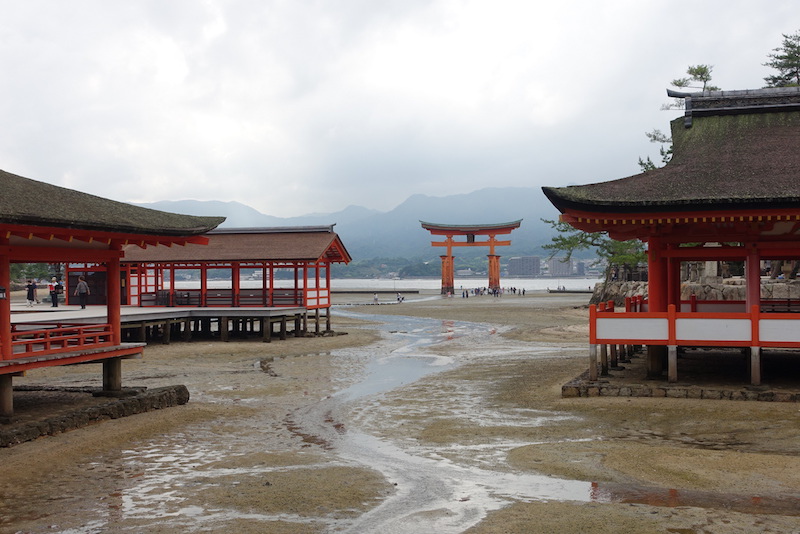 DSC04913.JPG DSC04913.JPG