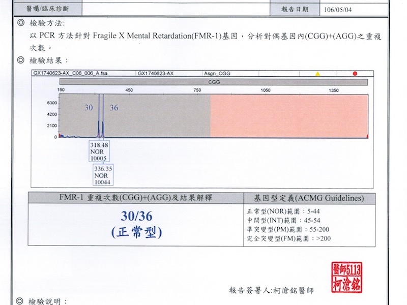 X染色體脆折.jpg