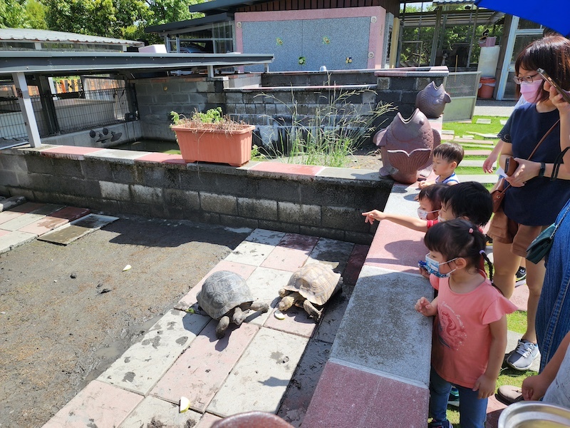 2022-09-25 [宜蘭] 親水89饗樂民宿～住在動物園