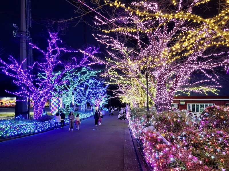 2023-11-22 東京賞楓旅Day4-2 夜訪讀賣樂園（