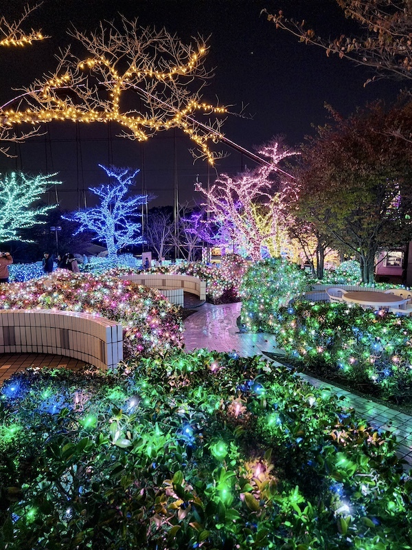 2023-11-22 東京賞楓旅Day4-2 夜訪讀賣樂園（