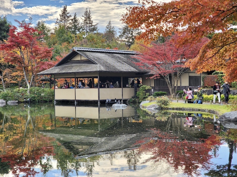 2023-11-23 東京賞楓旅Day5 昭和紀念公園銀杏步