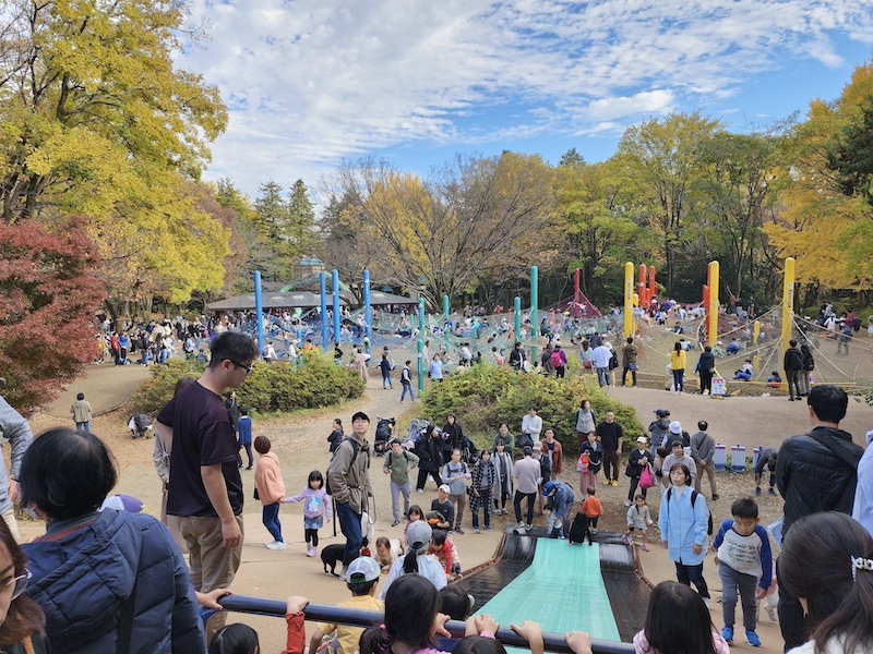 2023-11-23 東京賞楓旅Day5 昭和紀念公園銀杏步