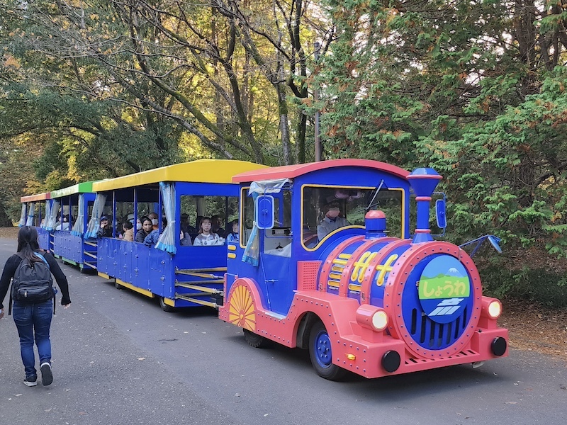 2023-11-23 東京賞楓旅Day5 昭和紀念公園銀杏步