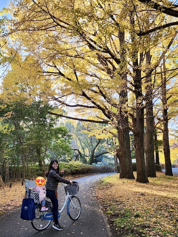 2023-11-23 東京賞楓旅Day5 昭和紀念公園銀杏步