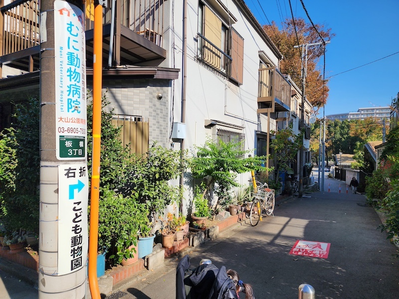 2023-11-24 東京賞楓旅Day6 板橋兒童動物園摸到