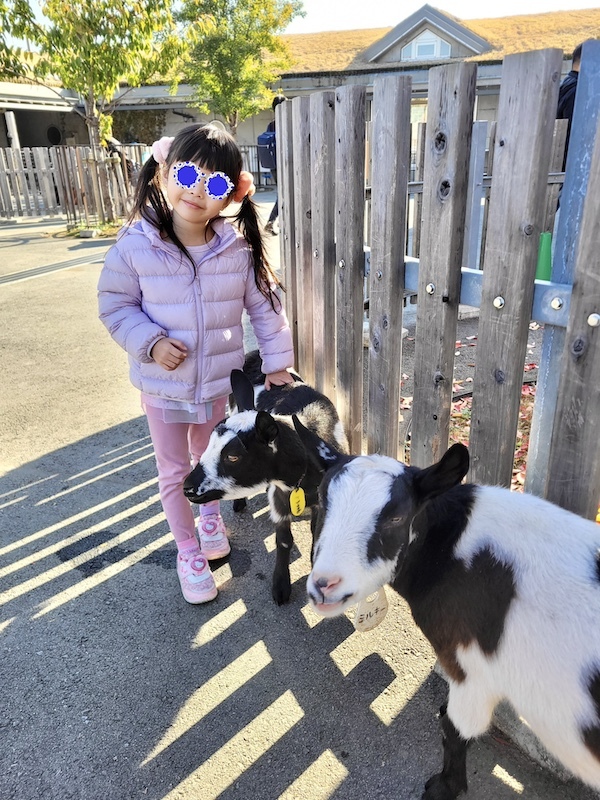 2023-11-24 東京賞楓旅Day6 板橋兒童動物園摸到