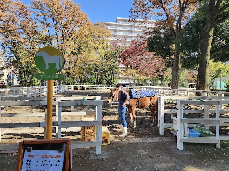 2023-11-24 東京賞楓旅Day6 板橋兒童動物園摸到