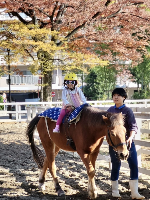 2023-11-24 東京賞楓旅Day6 板橋兒童動物園摸到