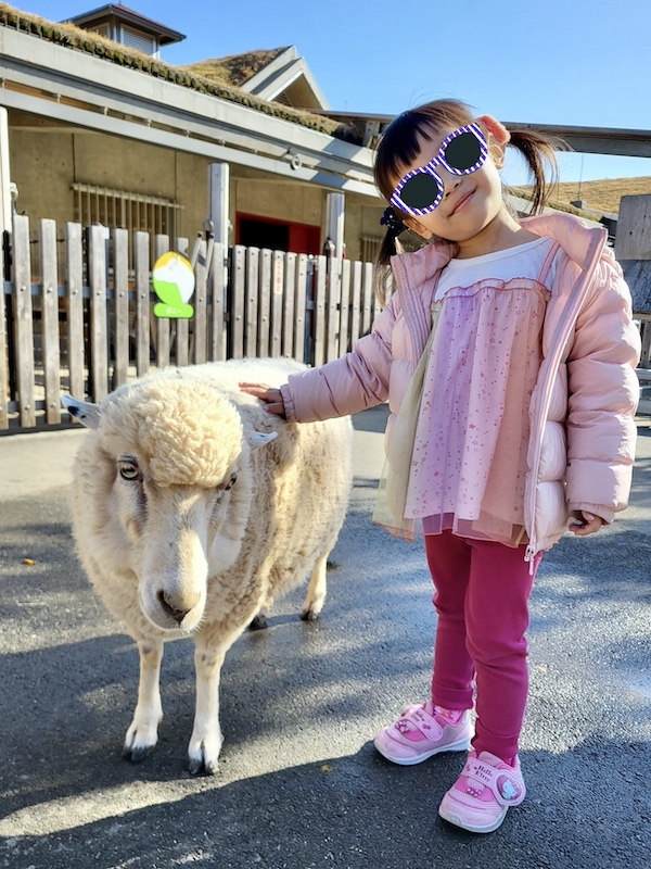 2023-11-24 東京賞楓旅Day6 板橋兒童動物園摸到