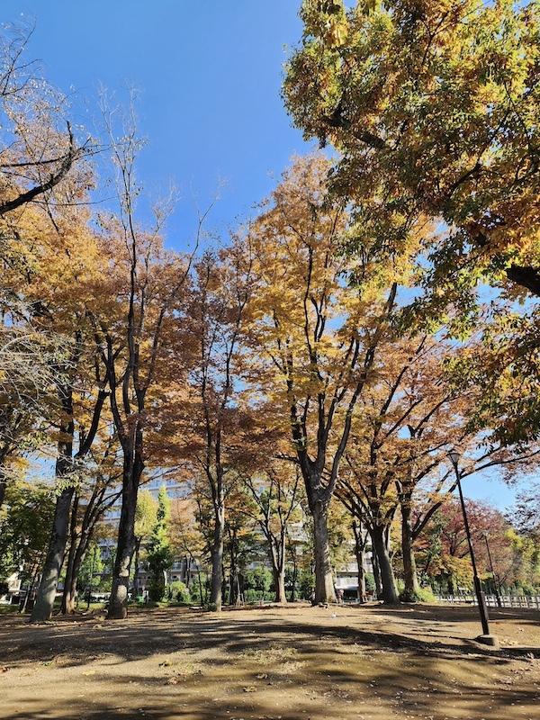 2023-11-24 東京賞楓旅Day6 板橋兒童動物園摸到