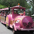 遊園火車