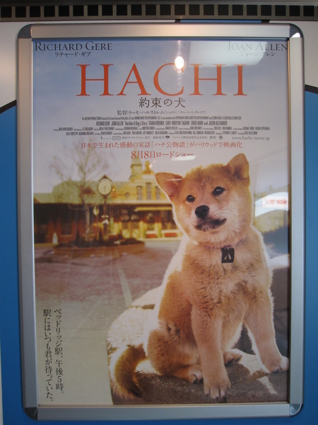 忠犬八公的海報,理察基爾有演