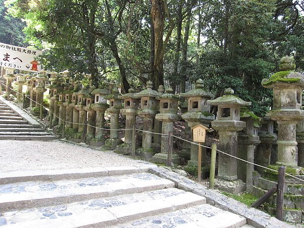 矗立在通往神社的參道旁約2000個石燈籠