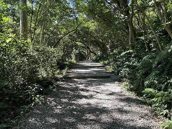 桃園石門山登山步道 石門水庫楓葉