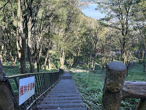 桃園石門山登山步道 石門水庫楓葉