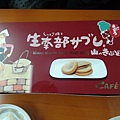 DSC06799.jpg