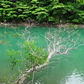 DSC06854
