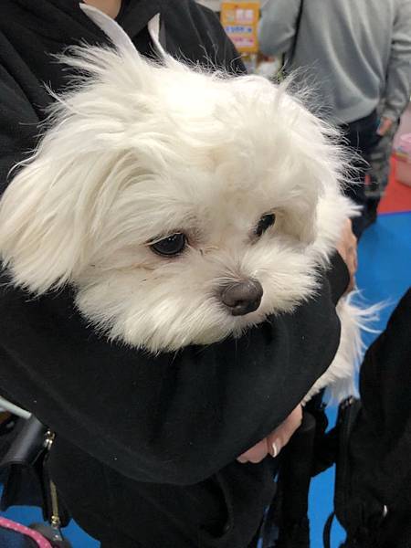 S__29990927.jpg S__29990927.jpg