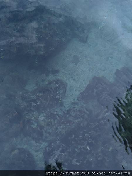 P_20190714_183324.jpg P_20190714_183324.jpg