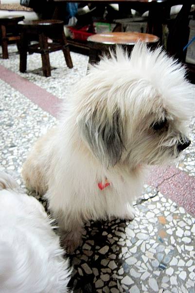 IMG_1279 IMG_1279