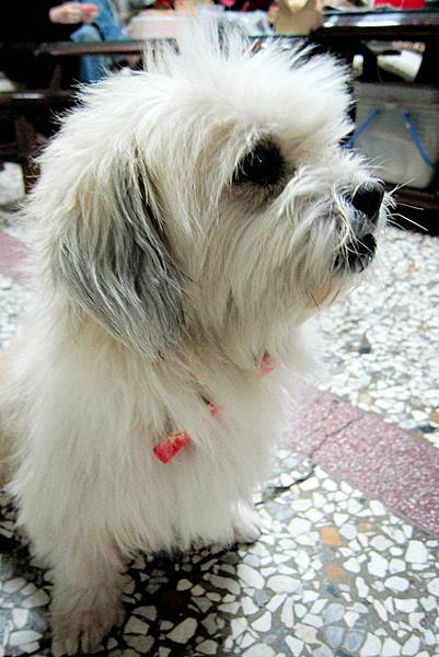 IMG_1281 IMG_1281