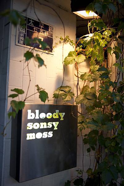 Bloody sonsy moss