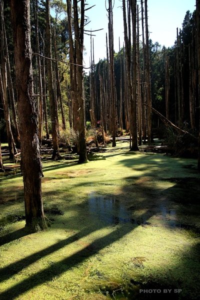 20101101 103 複製.jpg